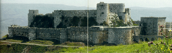 castle.gif (79074 Byte)